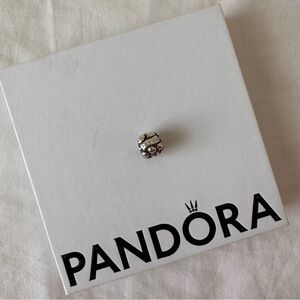 Pandora Love/Family Charm